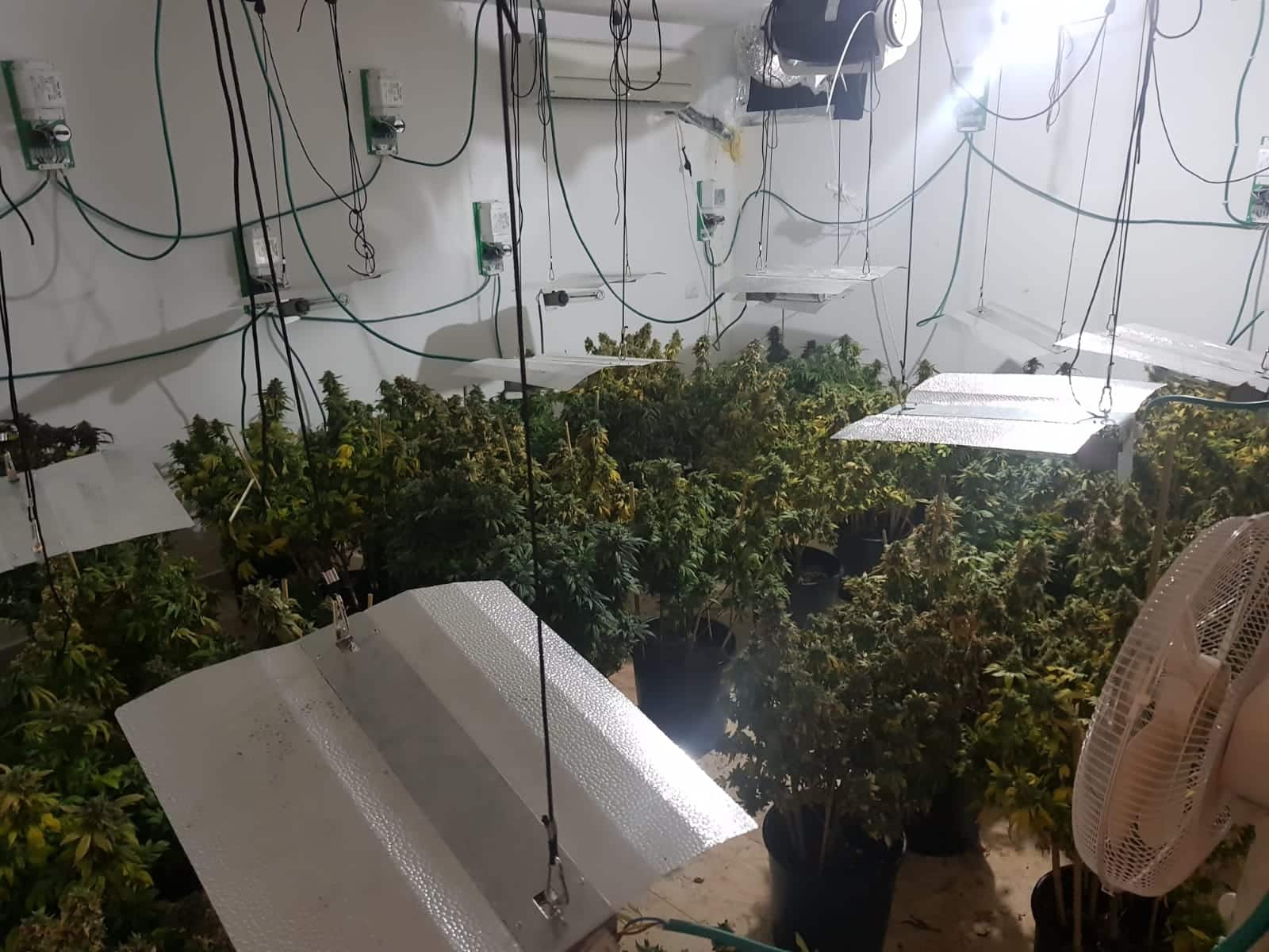 מעבדת סמים שנחשפה (צילום: משטרה)