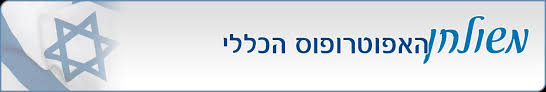 חיזוק באכיפה כלכלית, גידול בפשיטות רגל