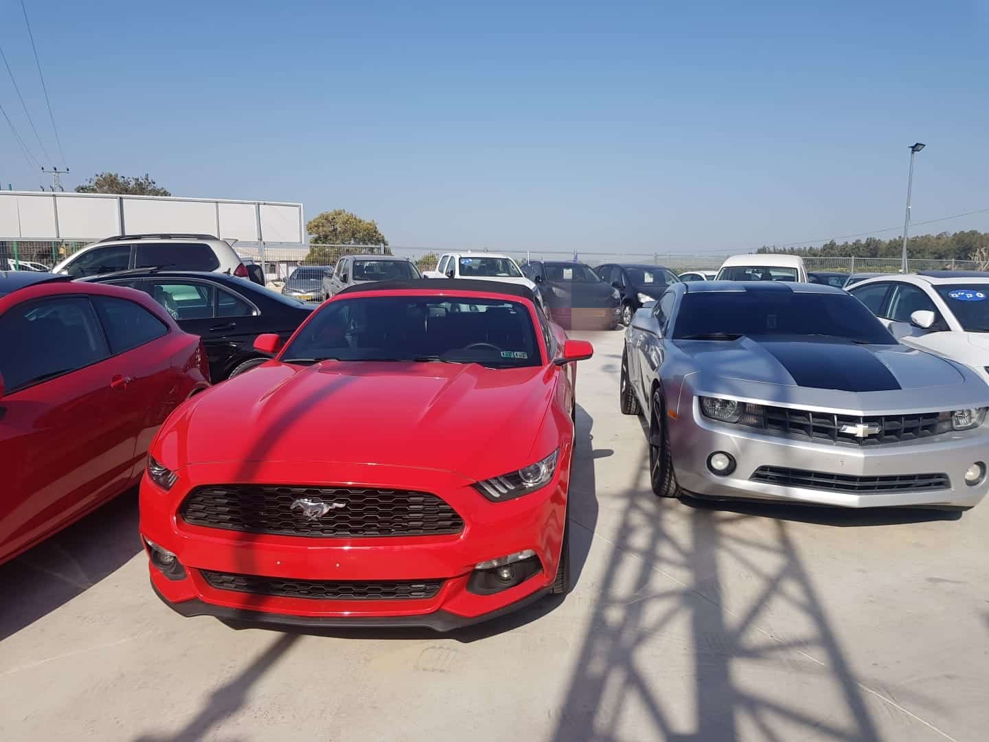 משרד התחבורה ישקול לשלול את רישיון הסחר
