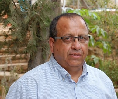 דוד מזרחי