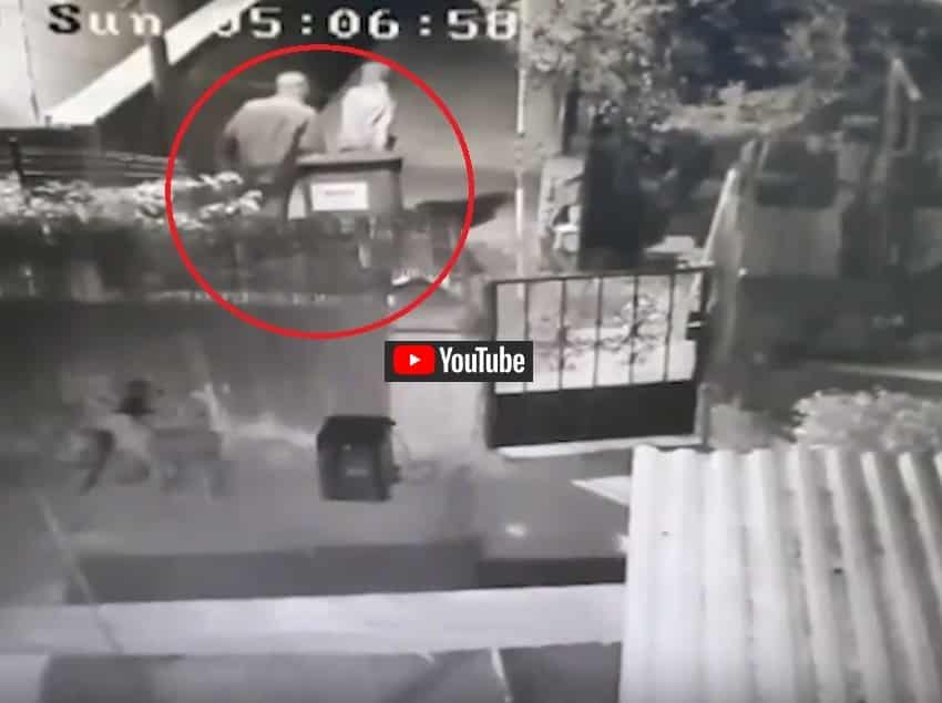 צפו: אחד הסרטונים המפלילים בתיק עדיאל תורתי