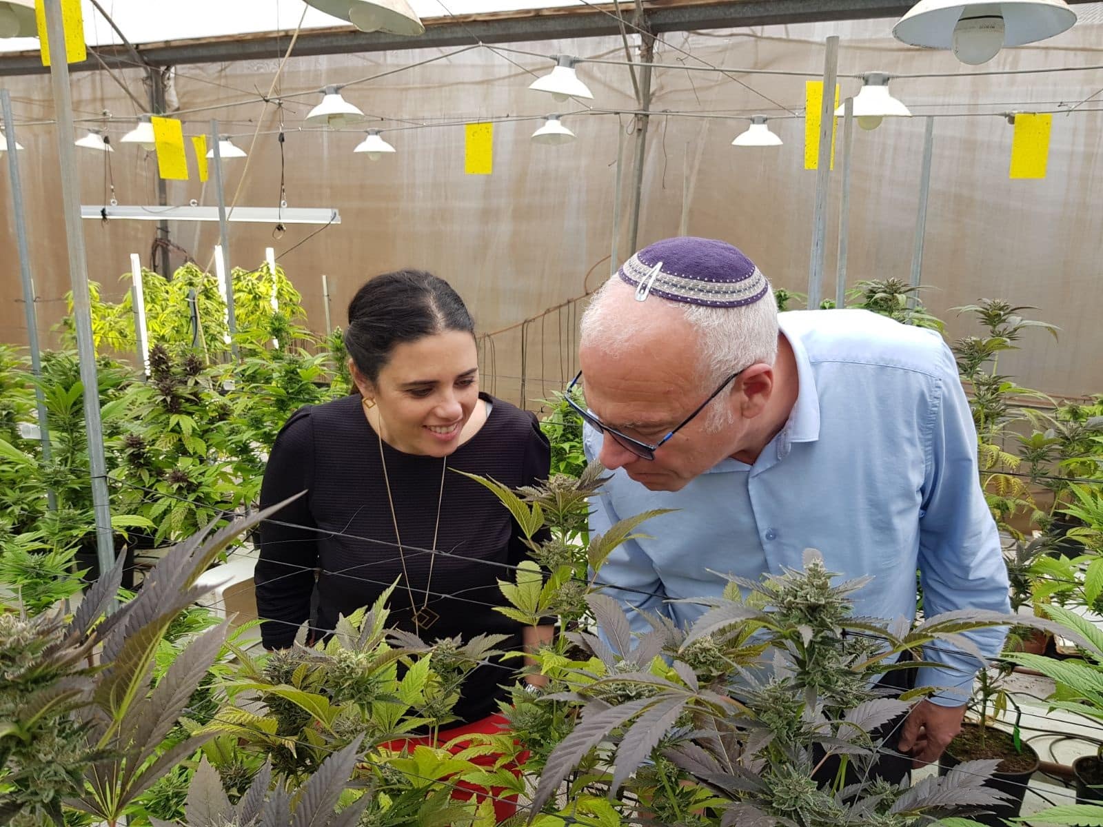 "השרים אריאל ושקד בחוות הגידול "שיח