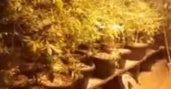 נאשמת בתיק רשת מעבדות ההידרו שוחררה באיזוק אלקטרוני