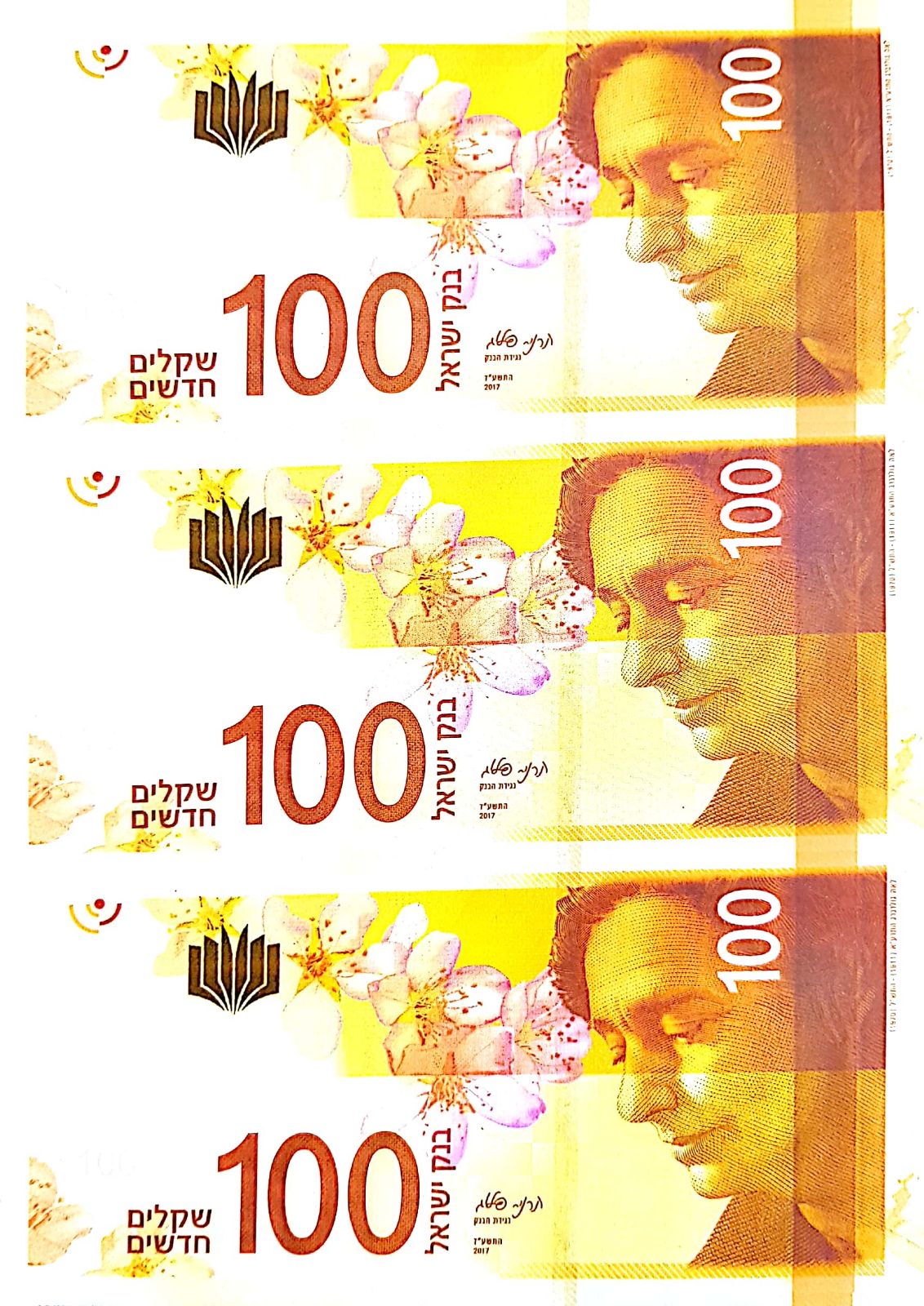 נתפסו גם שטרות מזויפים של 100 שקל