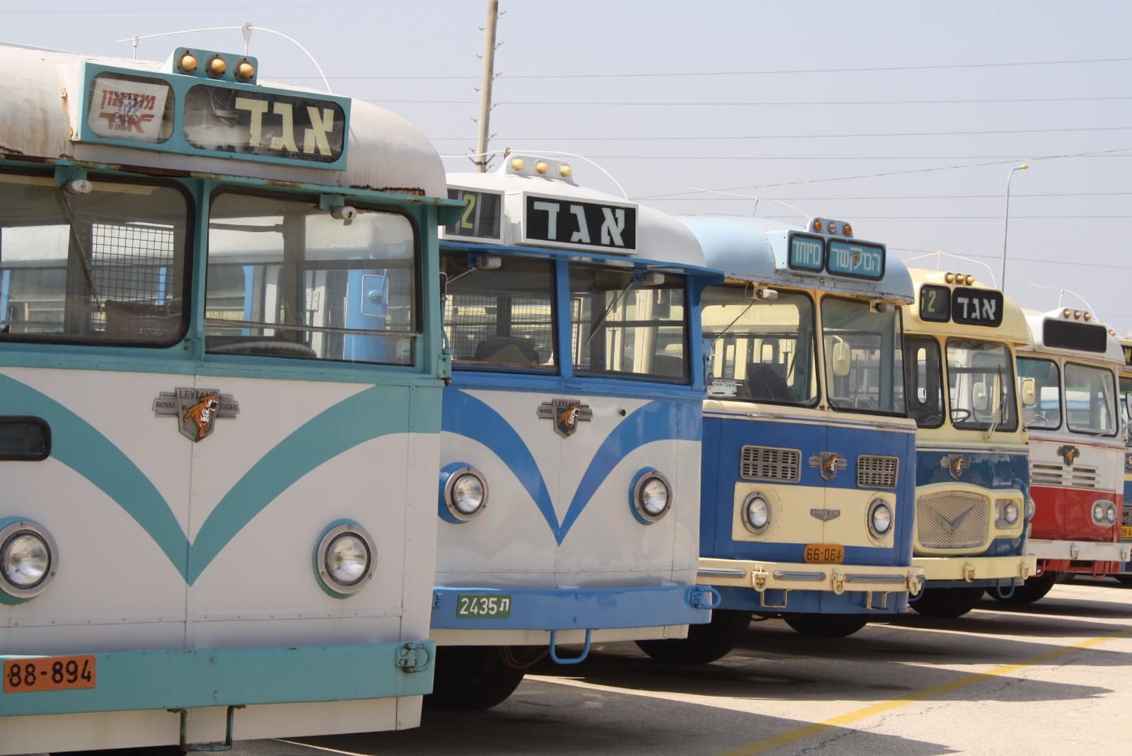 היישר ממוזיאון אגד (צילומים: ארכיון אגד)