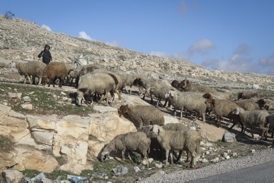 גם הקלסתרון שמסרה המתלוננת התאים (צילום אילוסטרציה: יצחק הררי, פלאש 90)