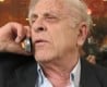 פושעים פרלמנטריים
