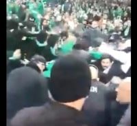 הקטטה בין "הקופים הירוקים" – על רקע גזעני