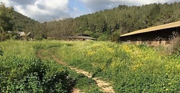 הזמן עומד מלכת במחלקת הערעורים של מח"ש