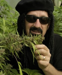 cannabis oketz