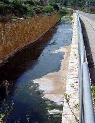 el shagur biuve