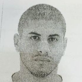 elbaz shay