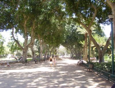 gan meir