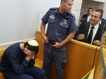 goldshtein meir