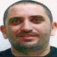 grinberg shmulik
