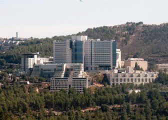 hadasa