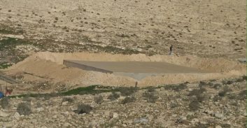 355 שתילי סם נמצאו בחממה בנגב