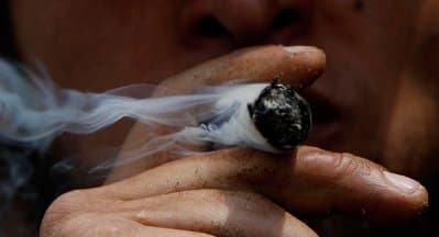 joint