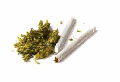 joints
