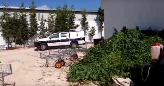 knavis nitzaney oz2