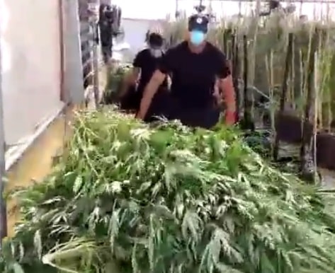 knavis nitzaney oz3