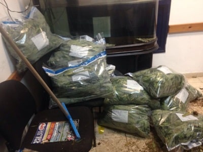 marihuana57