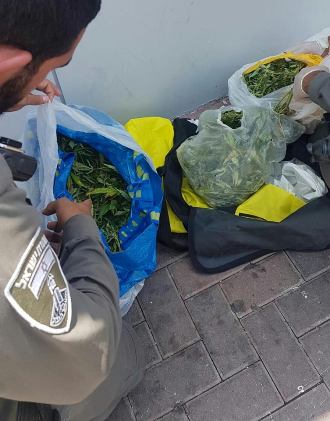 marihuana eilat