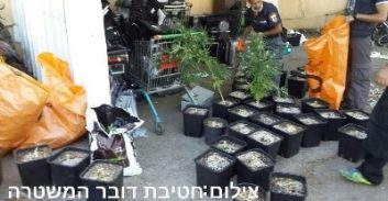כל מה שצריך כדי לגדל מריחואנה, וגם 60 שתילים