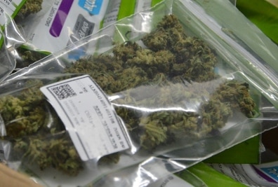 medical cannabis tikun olam