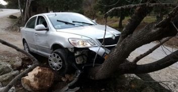 משמר איילון: פורץ נעצר בסיום מרדף