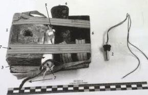 mitanshalem2