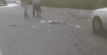 נדקר על רקע פלילי בנשר