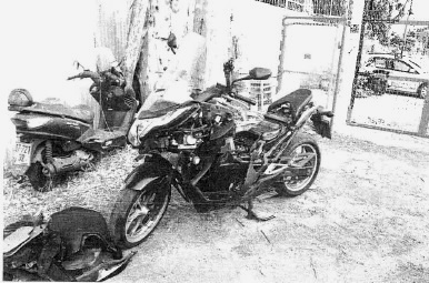 ofanoa ekdahim