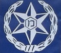משטרת ישראל בתפוצות
