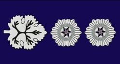 police natzam