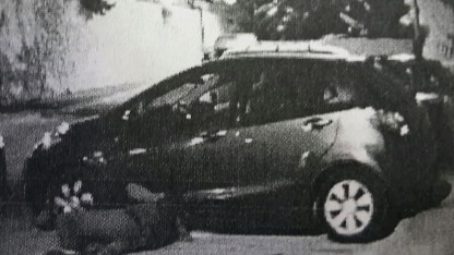 radai solomon car
