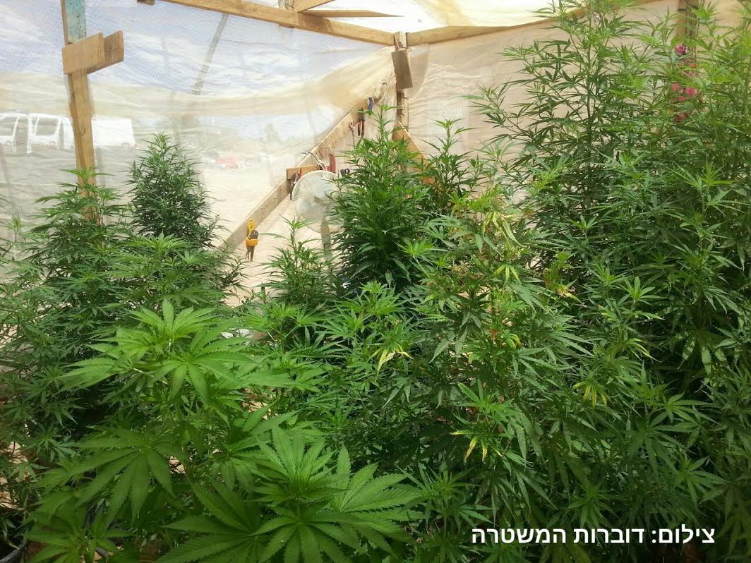 samim shtilim999