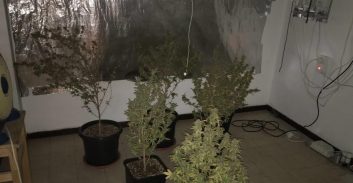 מעבדה ביתית "מעוצבת" ברמת גן
