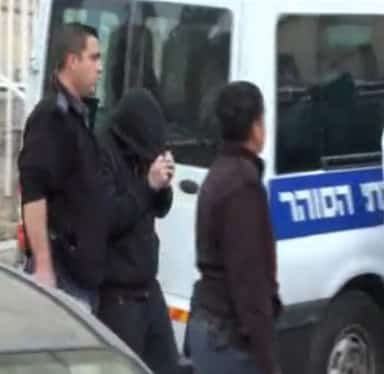 shedmi haim