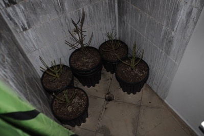 srefa hidro2