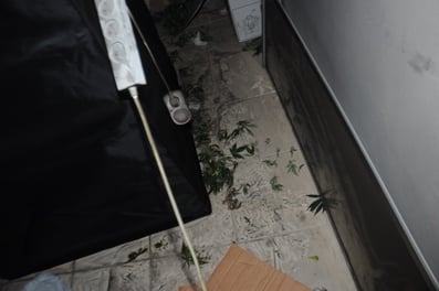 srefa hidro4