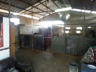susim ashkelon3
