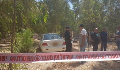 tel adashim1