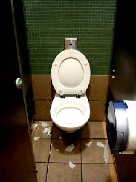 toilet seat
