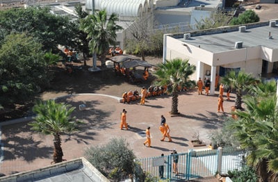 tzalmon cele