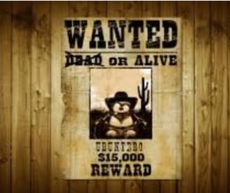 wanted 33