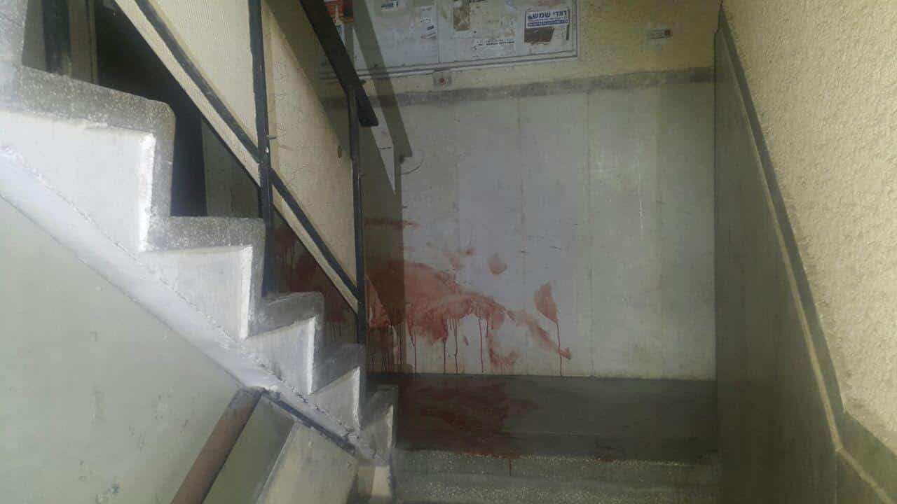 zira ashdod5