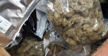 נעצר על עבירת תנועה ונתפס עם 3.6 ק"ג קנאביס