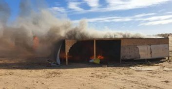 בשטחי אש בדרום: 430 ק"ג קנאביס ומאות בעלי חיים