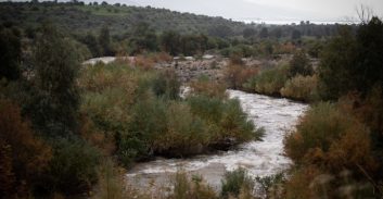 חשד: הומלס שבנה זולה ליד נהר הירדן תקף שוטרים ופקחים שהגיעו לפנותו